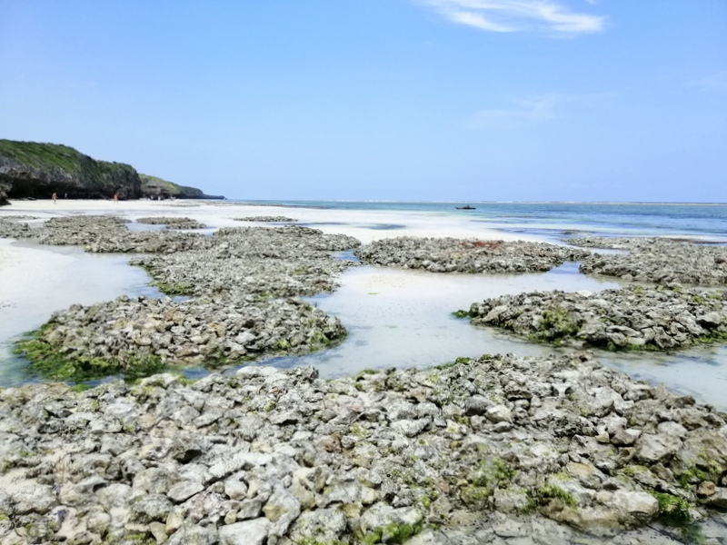 Zanzibar samochodem. Kizimkazi-Paje-Matemwe-Chuini-Stone Town. 